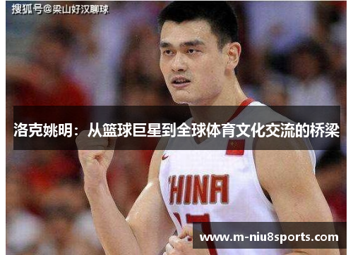 洛克姚明：从篮球巨星到全球体育文化交流的桥梁