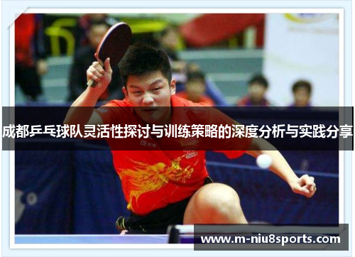 成都乒乓球队灵活性探讨与训练策略的深度分析与实践分享